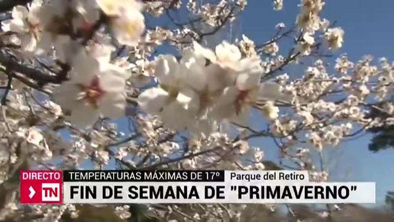 Telenoticias 1 15.02.2019