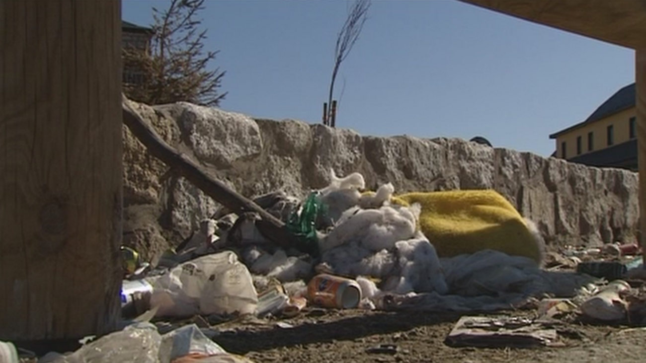 Visitantes incívicos en el Puerto de Navacerrada