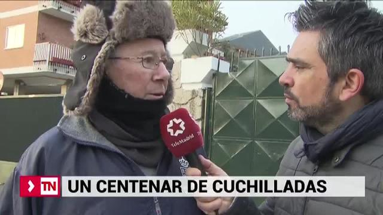 Uno de los hermanos muertos en Colmenarejo tenía más de 70 puñaladas y el otro, 20