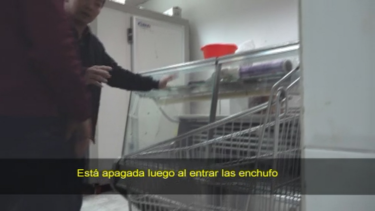 Insectos, carne en mal estado y suciedad en una carnicería de Usera