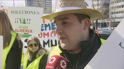 Los citricultores se manifiestan en Madrid para reclamar a Bruselas la defensa del sector