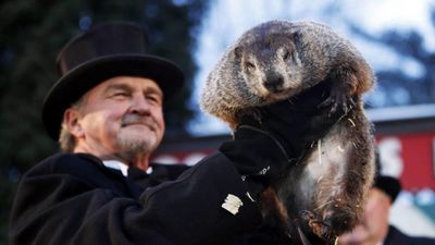 El Recuento: Día de la marmota