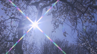 Fin de semana primaveral en Madrid