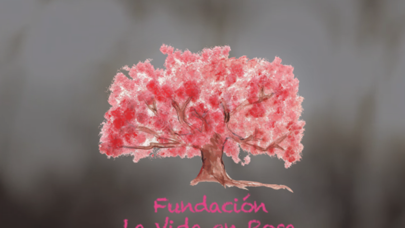 Entrevista a Lucia González, de 'La vida en rosa'