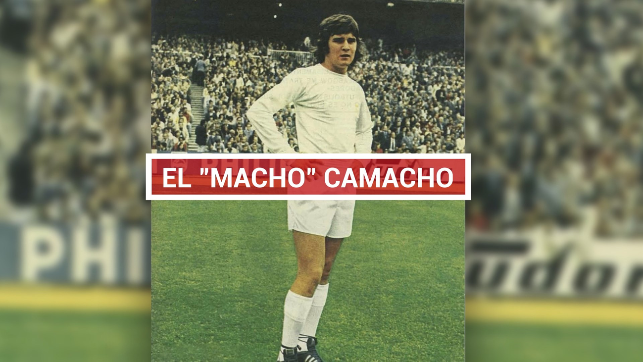 El diván de Camacho