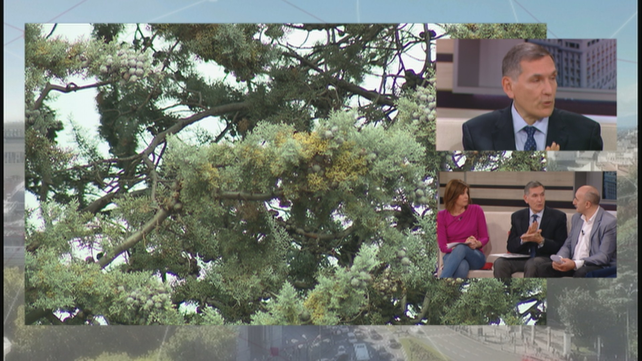 Consejos para superar lo mejor posible estos días de alergia en Madrid