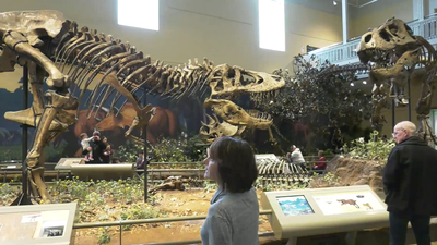 La mayor colección de dinosaurios del Jurásico está en Pittsburgh