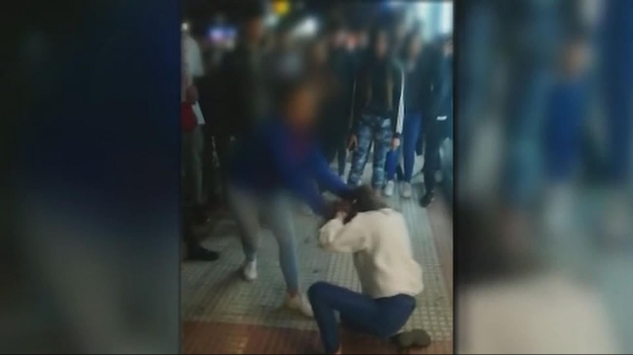 ¿Por qué se originó la gran pelea entre menores en Torrejón de Ardoz?