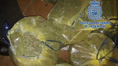 Incautados en Móstoles, Villaviciosa y Alcalá 75 kilos de marihuana lista para vender