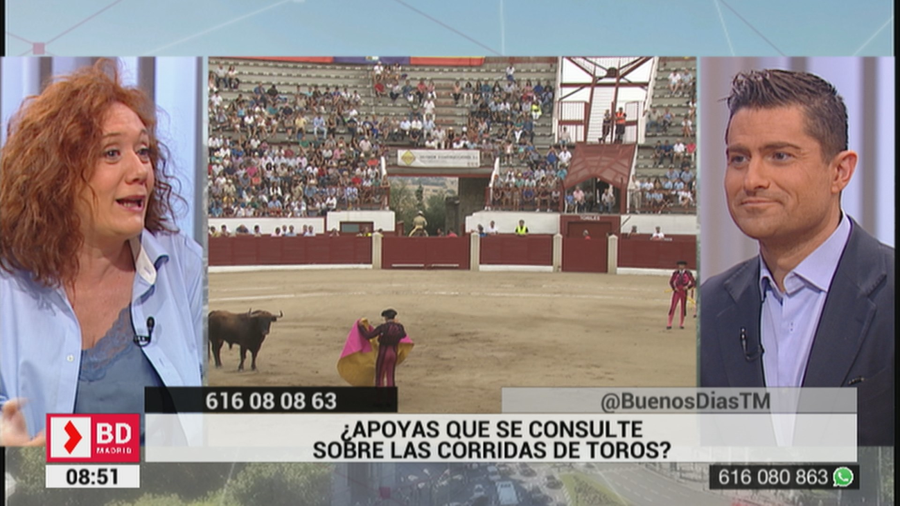 ¿Apoyas que haya consultas para realizar o no corridas de toros?