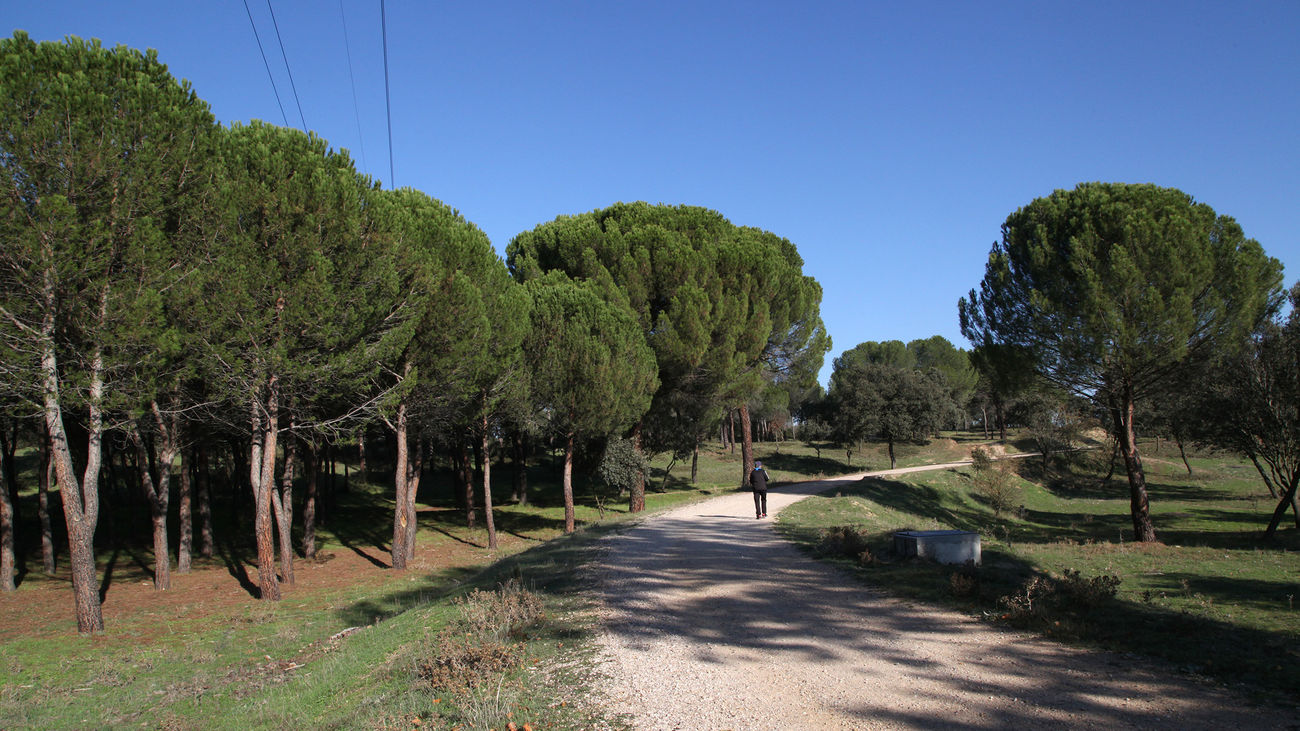 Alcobendas lanza una consulta sobre la operación urbanística en 'Los Carriles'