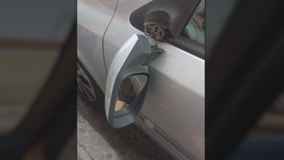 ¿Quién está detrás del robo y destrozo de vehículos en Vicálvaro?