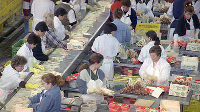 ¿Crees que es bueno para el trabajador una prejubilación a los 53 años?