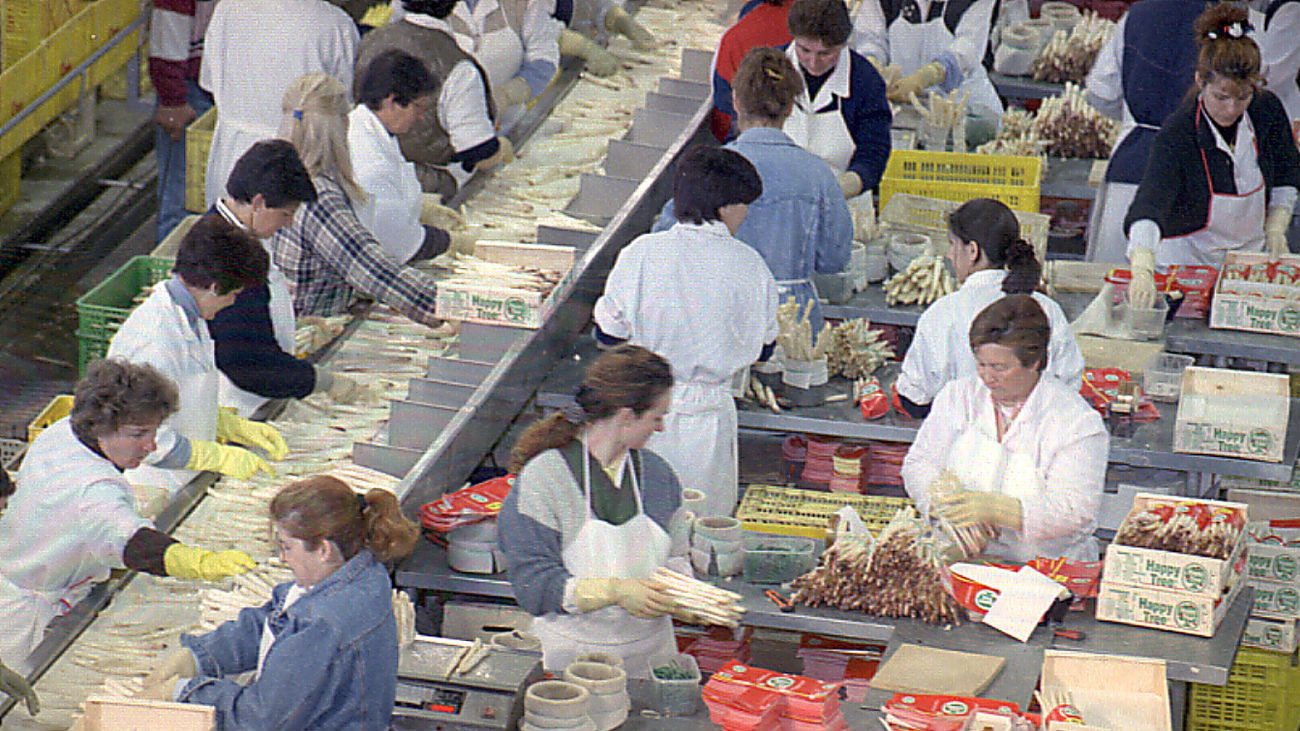 El 57% de mujeres renuncia a trabajos por ser incompatibles con maternidad