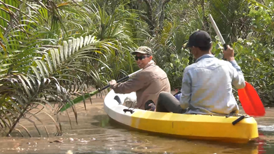 Paseo en barca por los manglares de Koh Kong