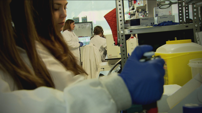 Seis de cada diez biomédicos de laboratorio son mujeres