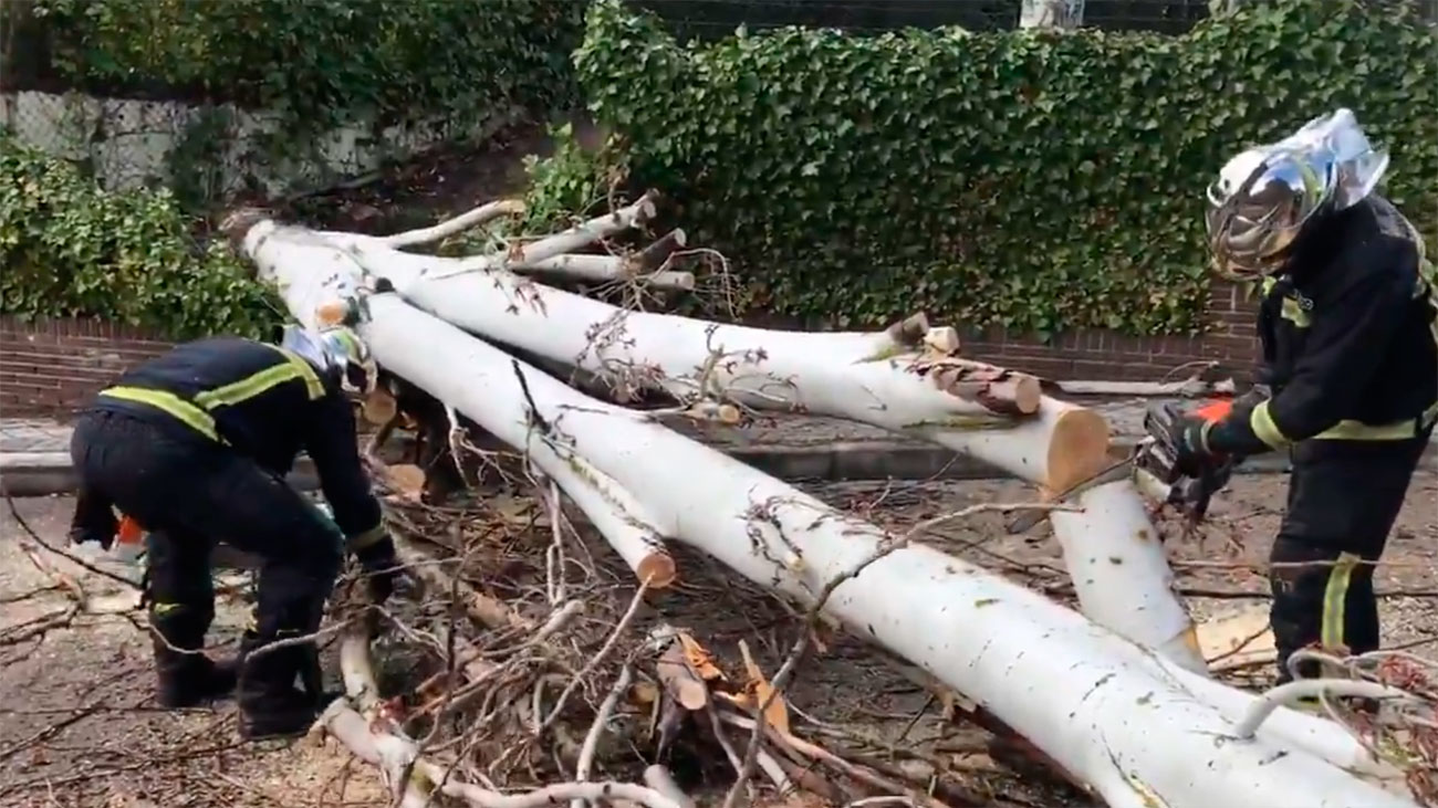 Los bomberos realizan más de 140 intervenciones, la mayoría por el viento