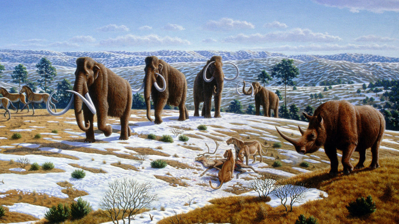 Los humanos jugaron un rol en las extinciones del Pleistoceno