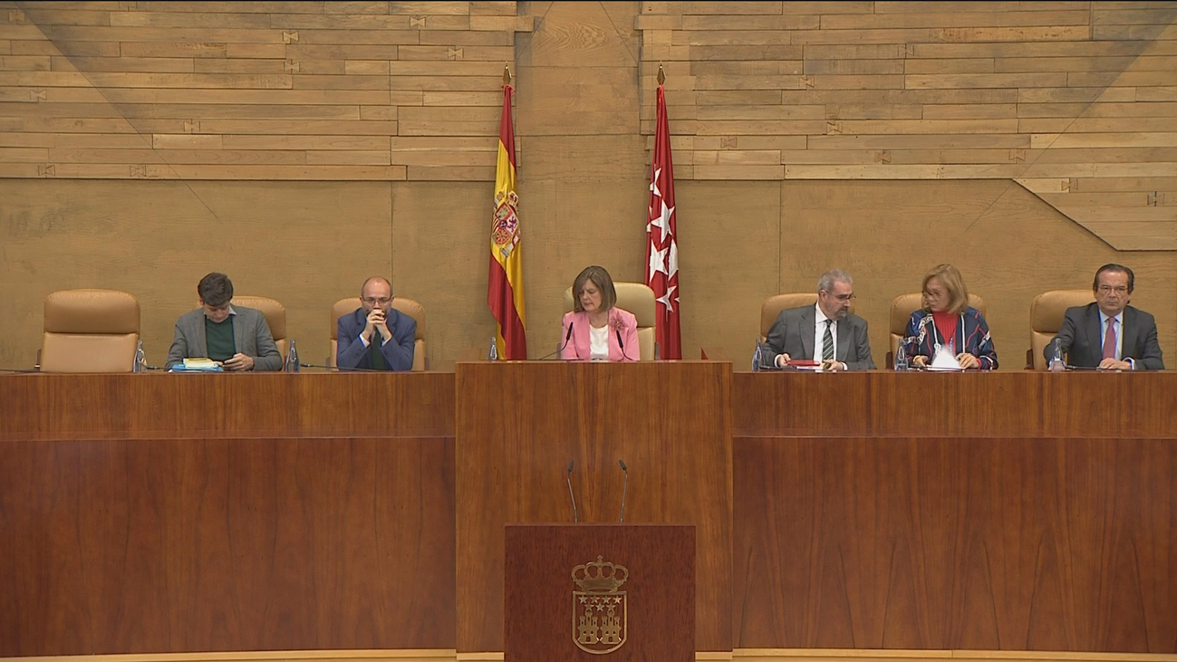 La Asamblea no logra un acuerdo sobre la declaración institucional de la Mujer