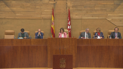 La Asamblea no logra un acuerdo sobre la declaración institucional de la Mujer