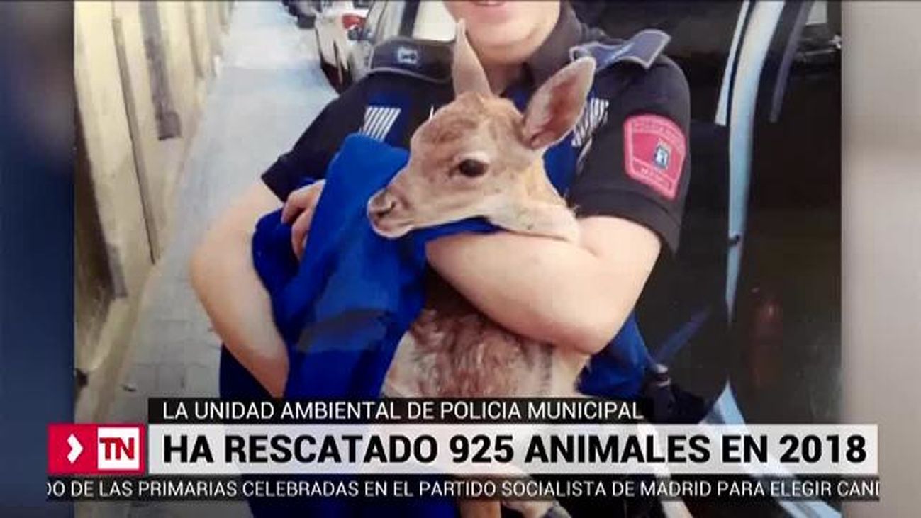 Telenoticias Fin de Semana 09.03.2019