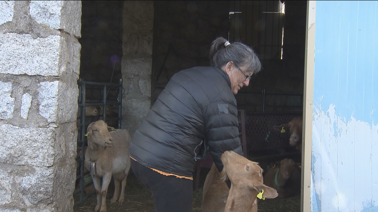Hablan las mujeres del mundo rural: "estamos en una situación de invisibilidad económica"
