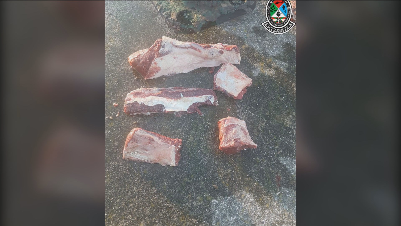 La Ertzaintza encuentra carne de delfín lista para ser consumida en Vizcaya