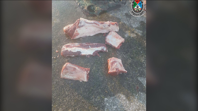 La Ertzaintza encuentra carne de delfín lista para ser consumida en Vizcaya