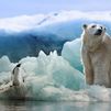 La temperatura del Ártico subirá entre 3 y 5 grados hasta 2050, según la ONU