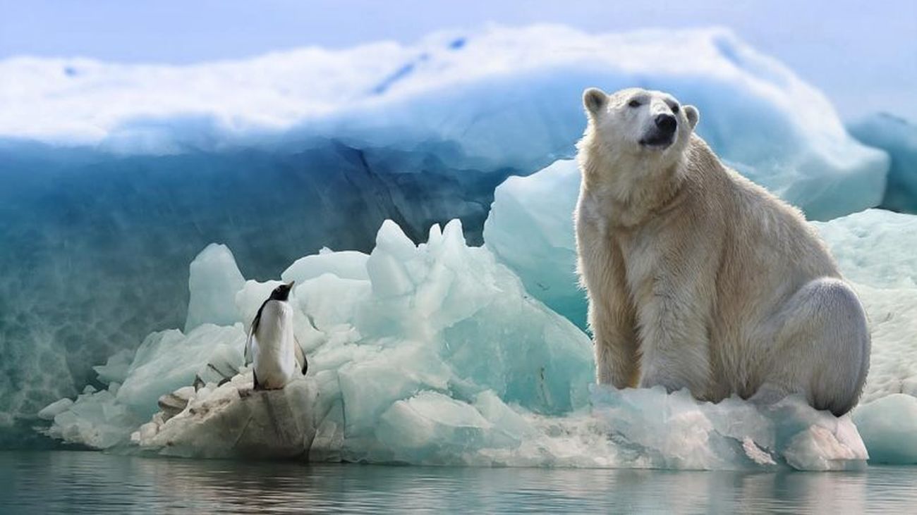 La temperatura del Ártico subirá entre 3 y 5 grados hasta 2050, según la ONU