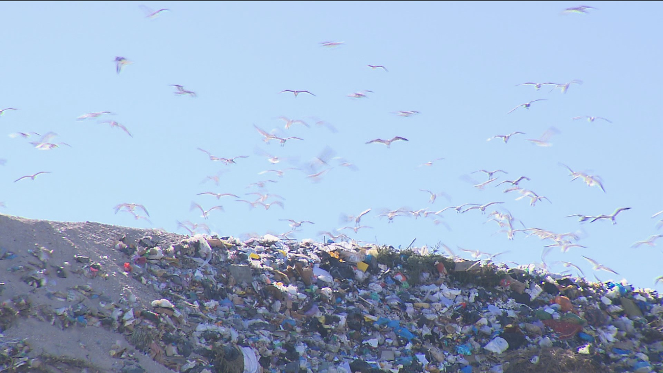 La Comunidad alarga la "vida útil" del vertedero de Alcalá hasta septiembre