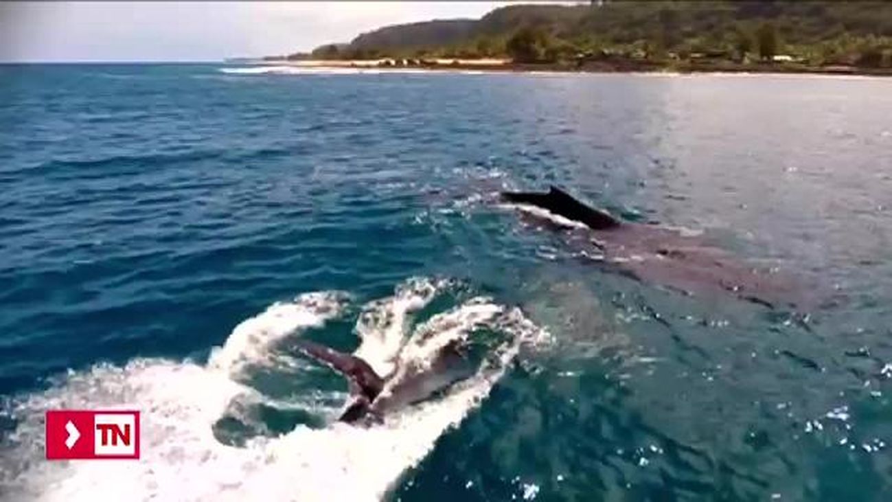 Telenoticias 2 13.03.2019