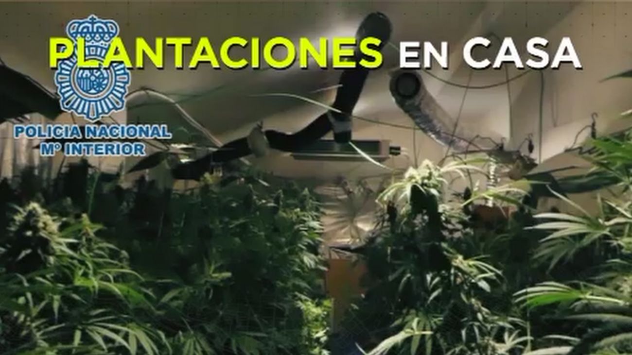 Madrid Directo 14.03.2019