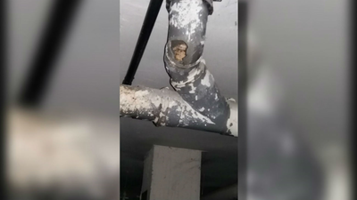 El ruinoso estado de un garaje de la empresa municipal de vivienda en Moratalaz