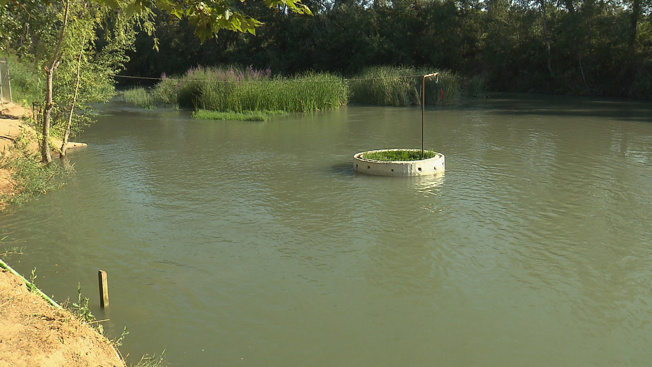El Tajo tendrá que tener unos caudales ecológicos fijos en los embalses de cabecera
