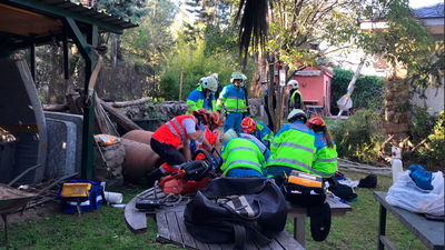 Un hombre muere electrocutado al podar un árbol en Colmenar Viejo