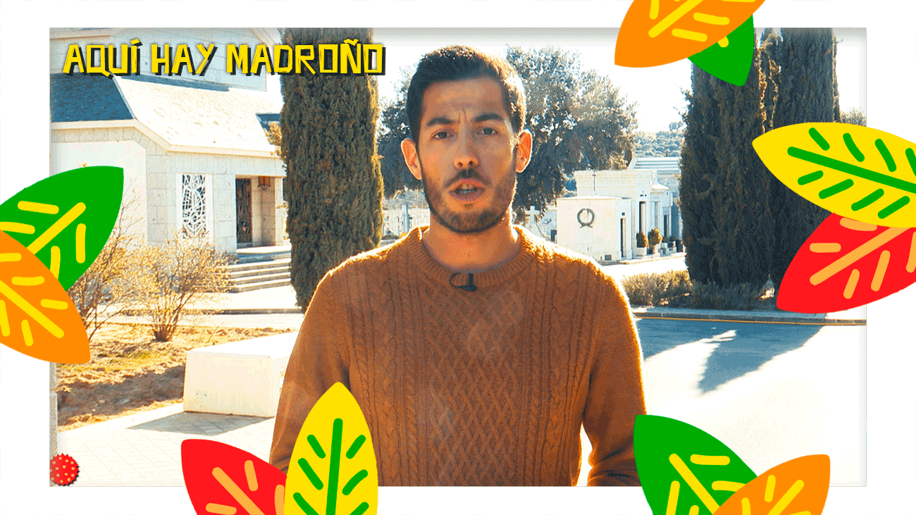 Este es el cementerio donde se inhumará a Franco tras el 10 de junio