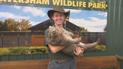 Madrileños por el mundo: Perth