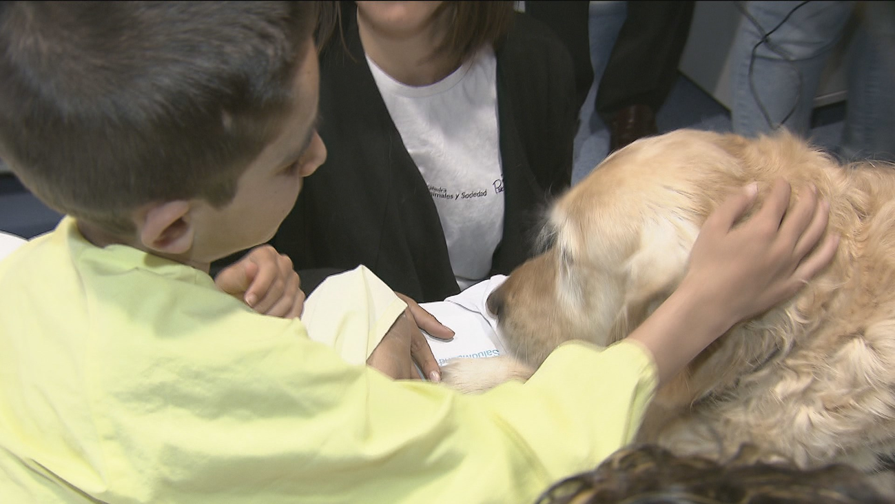 Terapia con perros en la UCI pediátrica del 12 de Octubre