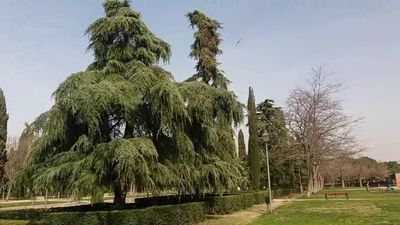Guiño a las mujeres en un parque y una plaza con nuevo nombre en Usera y en el distrito de Salamanca