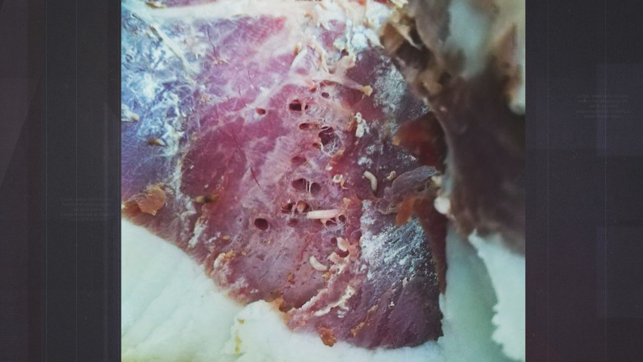 Jamones putrefactos vendidos a precio de ibérico