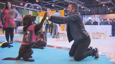 Helados para perros, cerveza y cosmética vegana, entre las novedades de la feria de mascotas