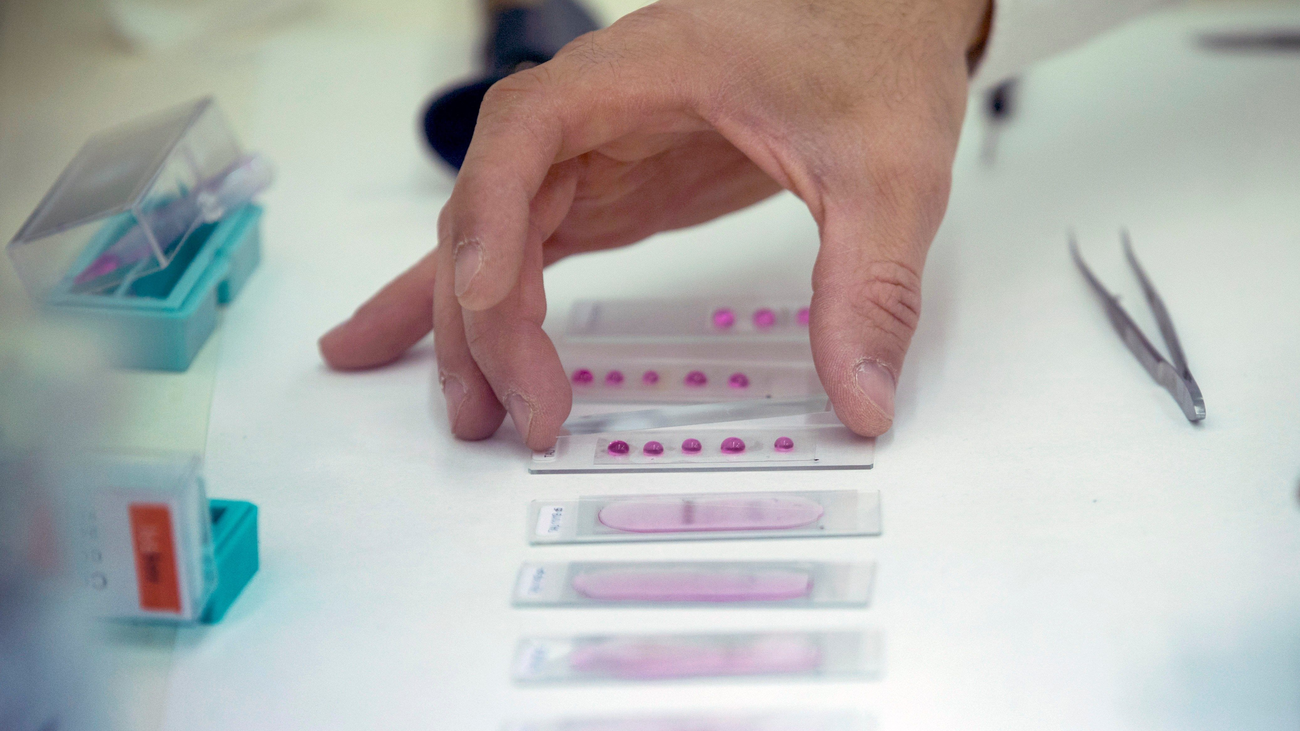 La primavera será más suave para los alérgicos por bajas lluvias en invierno