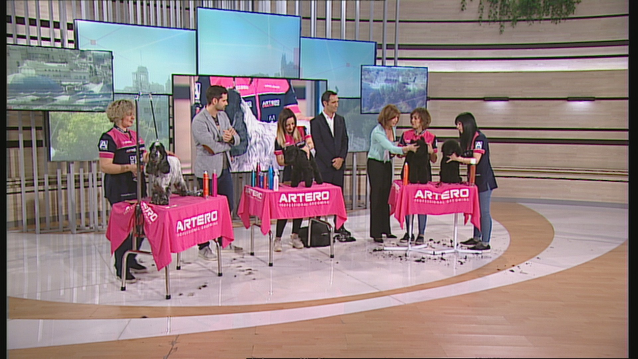 Cómo tener a tu perro a la última moda