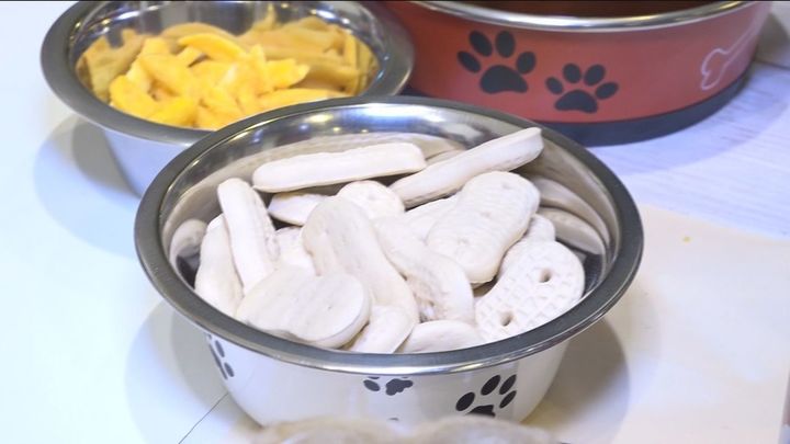 cacahuetes y patatas fritas para perros