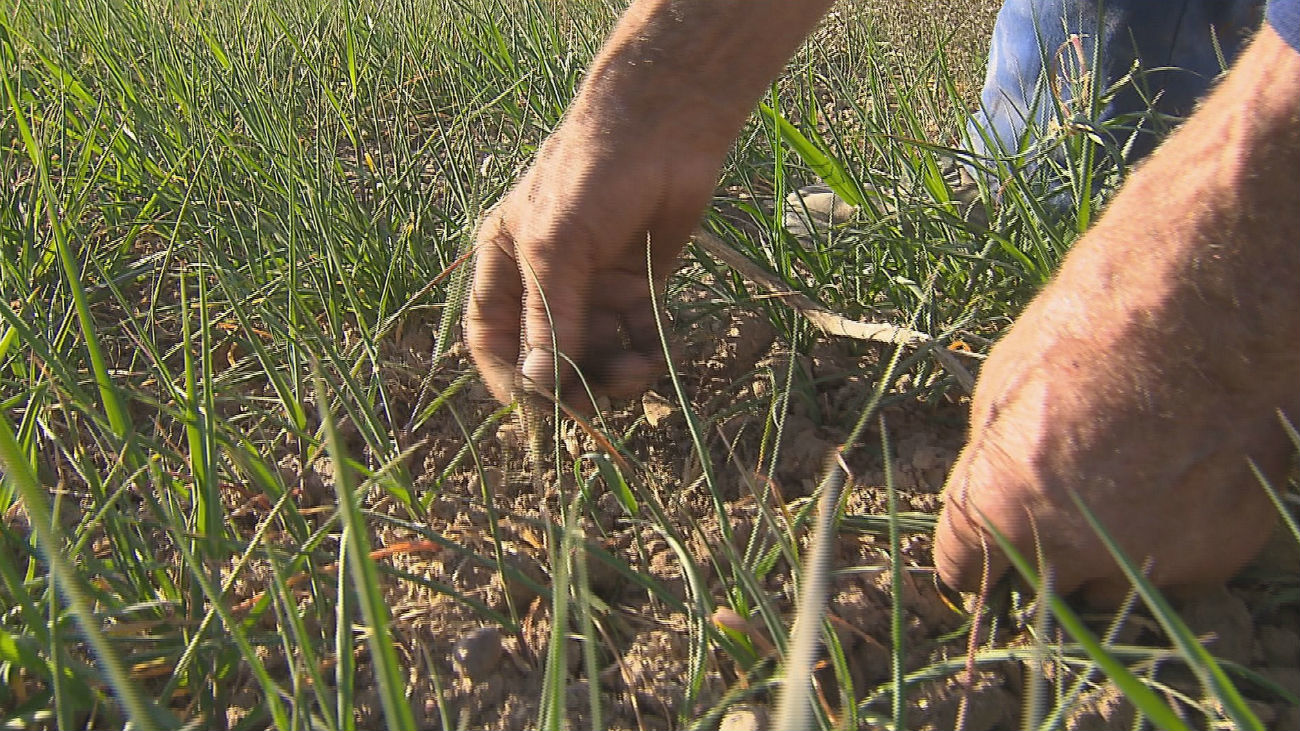 Indignación en La Vegas por el corte del suministro de agua de riego