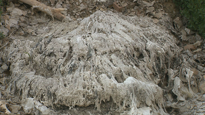 Denuncian aguas fecales y vertidos químicos en Arroyomolinos