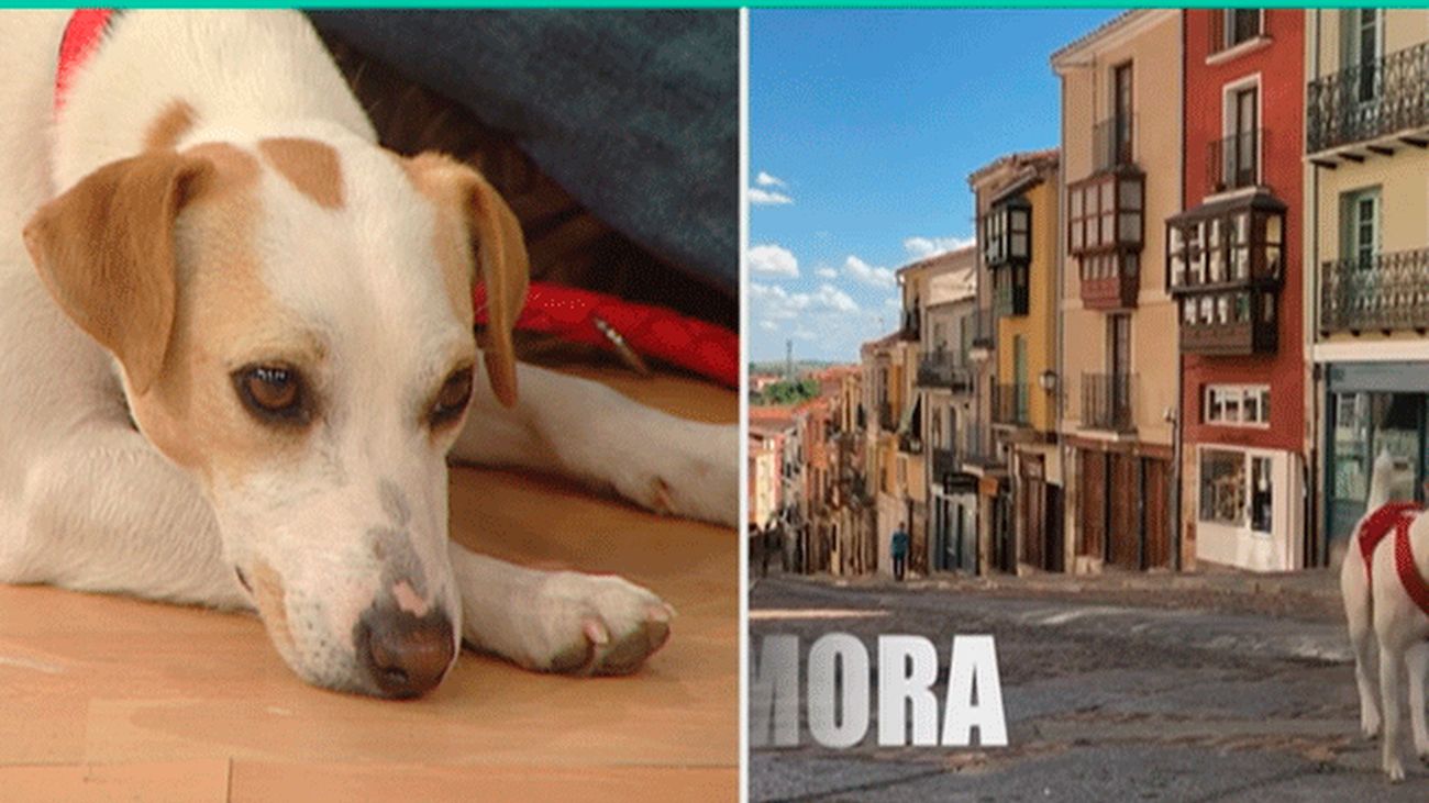 Está Pasando 25.03.2019