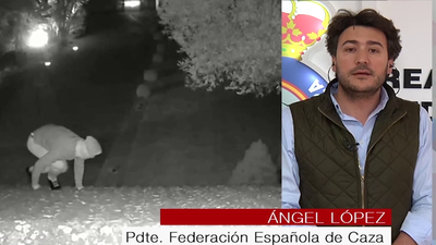 ¿Hay que legalizar en España la venta de armas y su uso en defensa propia?