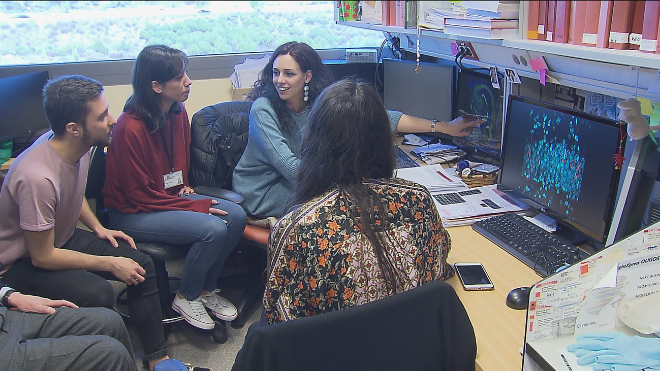 Las últimas neuronas producidas por el cerebro, claves para el estudio del alzhéimer